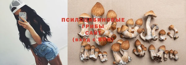 эйфоретик Алексеевка