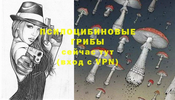 mdpv Алзамай