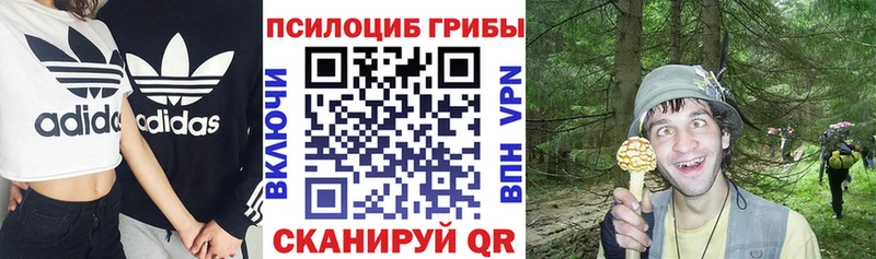 Псилоцибиновые грибы мицелий  мега рабочий сайт  Североуральск 