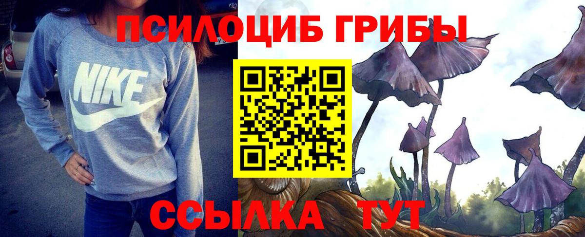 Псилоцибиновые грибы GOLDEN TEACHER  Вход с VPN  Североуральск  Галлюциногенные грибы прущие грибы 